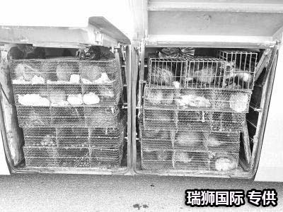 集裝箱的類型 集裝箱的種類 集裝箱用途 集裝箱規格 集裝箱箱型尺寸對照表、集裝箱尺寸表、集裝箱規格有幾種尺寸