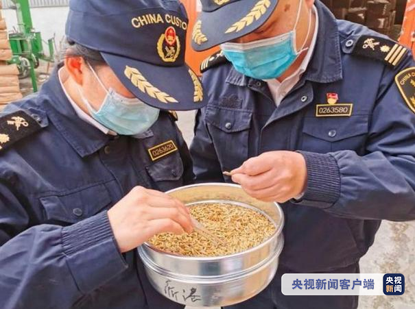 國際物流 國際貨運代理 貨運代理公司 航空國際貨運 海空聯(lián)運 多式聯(lián)運 國際物流 國際貨運代理 貨運代理公司 航空國際貨運 海空聯(lián)運 多式聯(lián)運