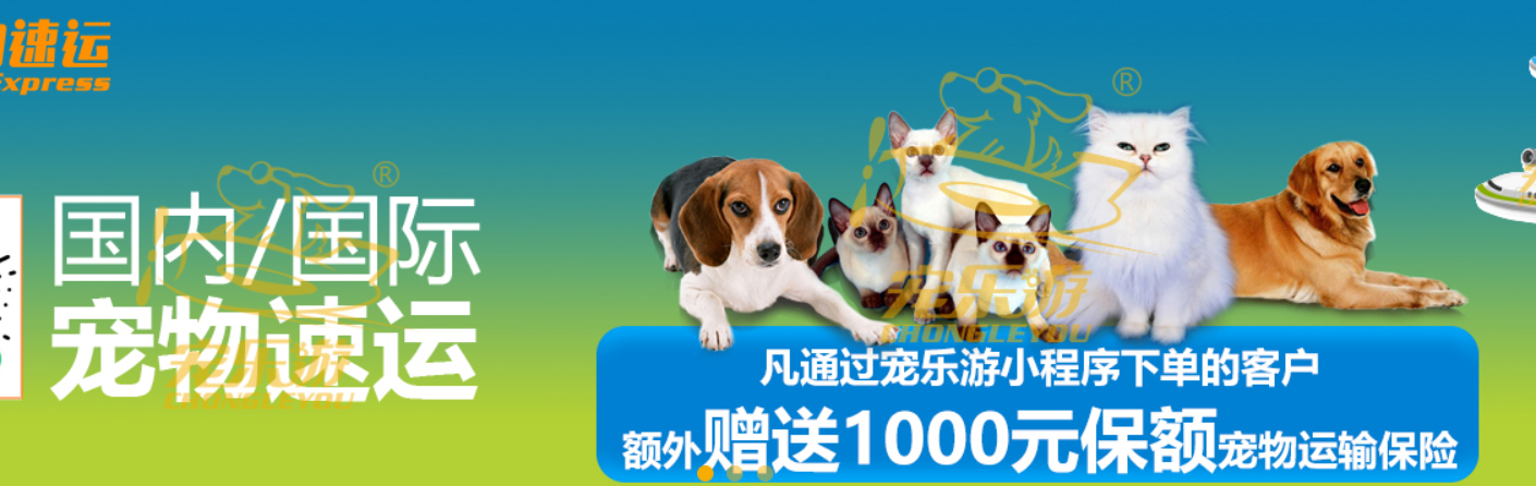 加拿大國際寵物托運手續和托運流程及注意事項 加拿大國際寵物托運手續和托運流程及注意事項