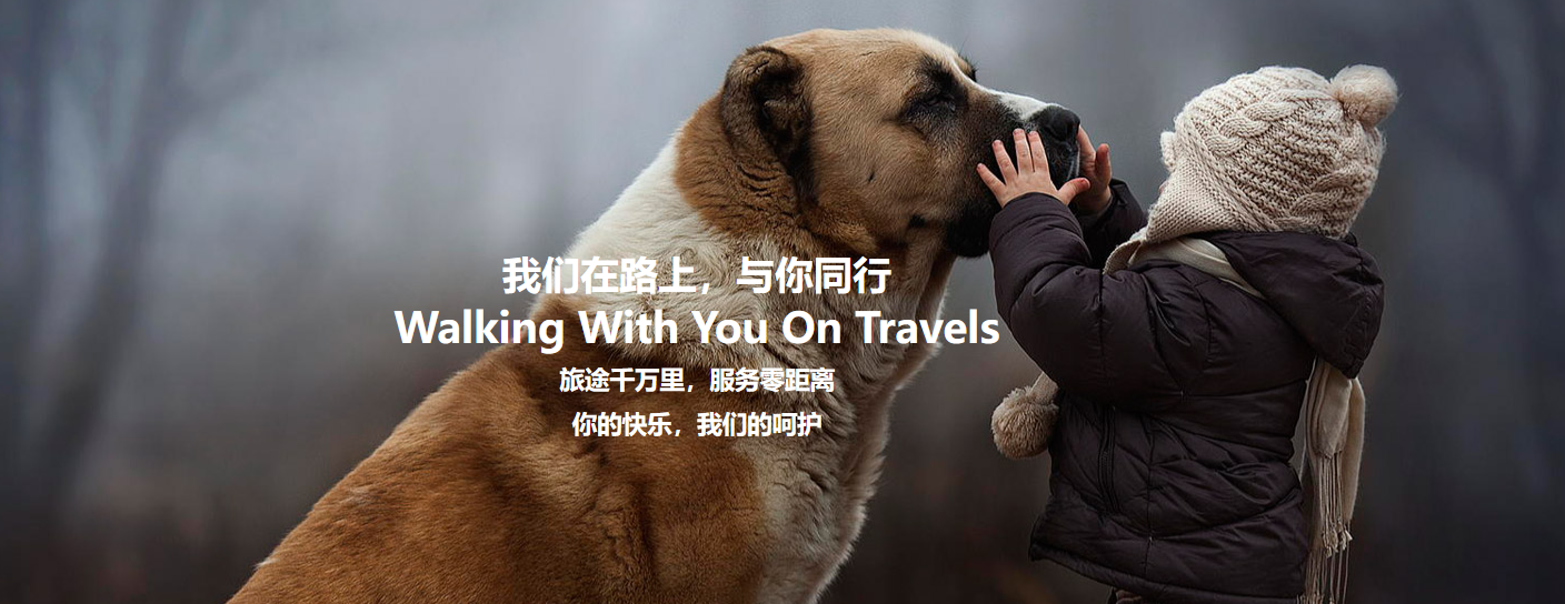 加拿大國際寵物托運手續和托運流程及注意事項 加拿大國際寵物托運手續和托運流程及注意事項