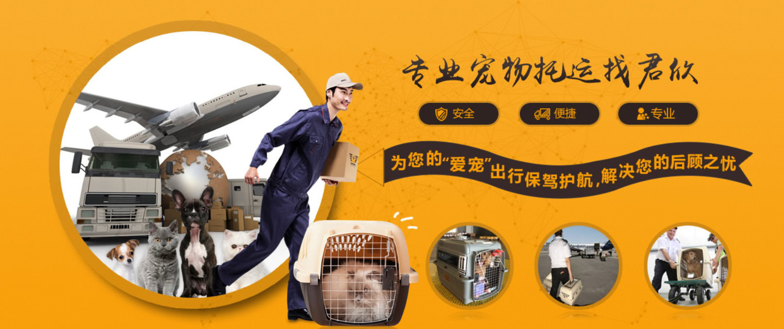 加拿大國際寵物托運手續和托運流程及注意事項 加拿大國際寵物托運手續和托運流程及注意事項