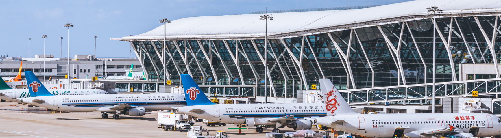 加拿大國際寵物托運手續和托運流程及注意事項 加拿大國際寵物托運手續和托運流程及注意事項