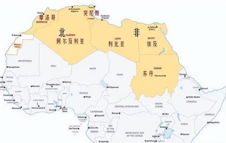 蘇丹拼箱價(jià)格 蘇丹海運(yùn)整柜代理 蘇丹散貨拼箱價(jià)格 蘇丹船期查詢國(guó)際物流貨運(yùn)代理